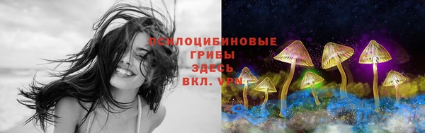 марки lsd Бугульма