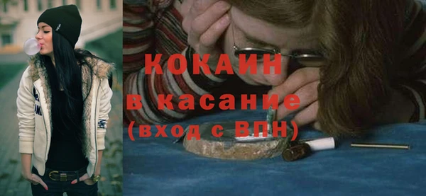 бошки Бронницы