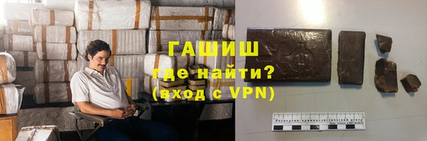 ГАЛЛЮЦИНОГЕННЫЕ ГРИБЫ Бородино