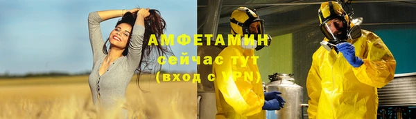 ГАЛЛЮЦИНОГЕННЫЕ ГРИБЫ Бородино