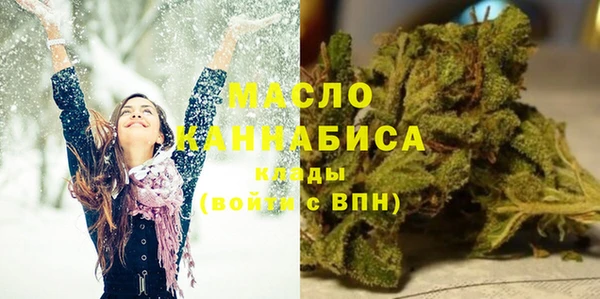 бошки Бронницы