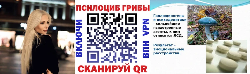 где найти   Кондопога  Галлюциногенные грибы Psilocybe 